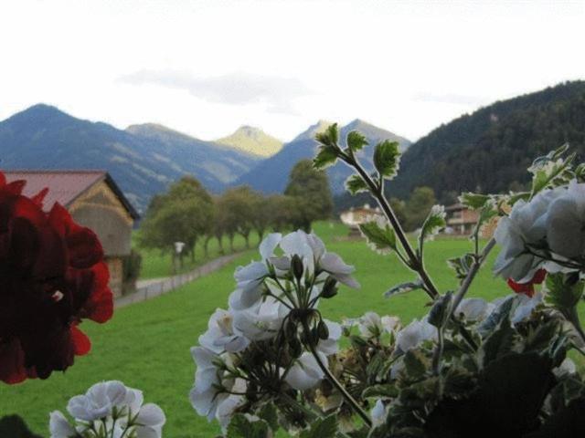 Hotel Haus Friedl Kitzbühel Exterior foto